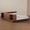 Baxton Studio Kaori Transitional Walnut Wood Queen Size Platform Storage Bed 168-10729 - alternate 8